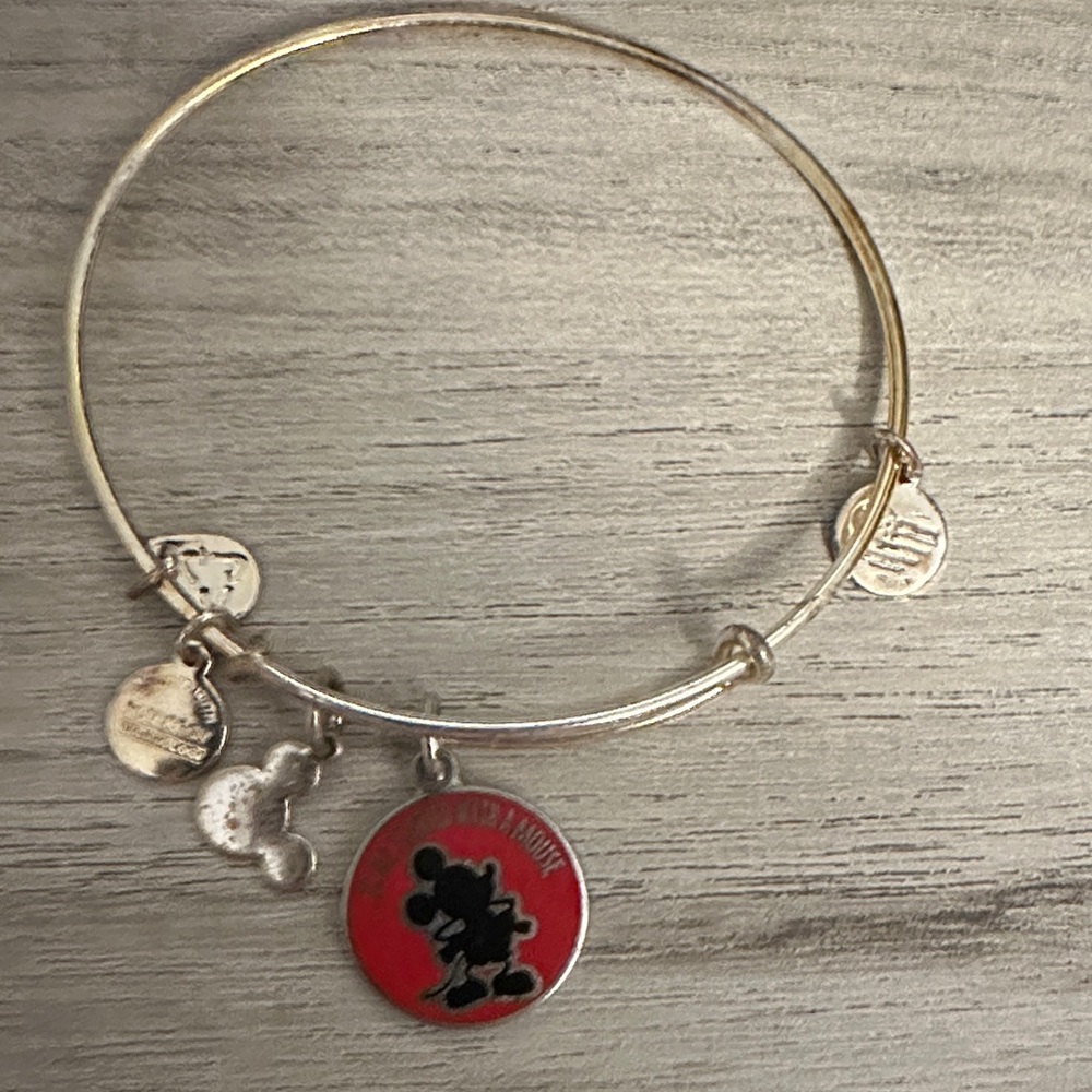 Alex and Ani silver Bracelet with Disney Charm